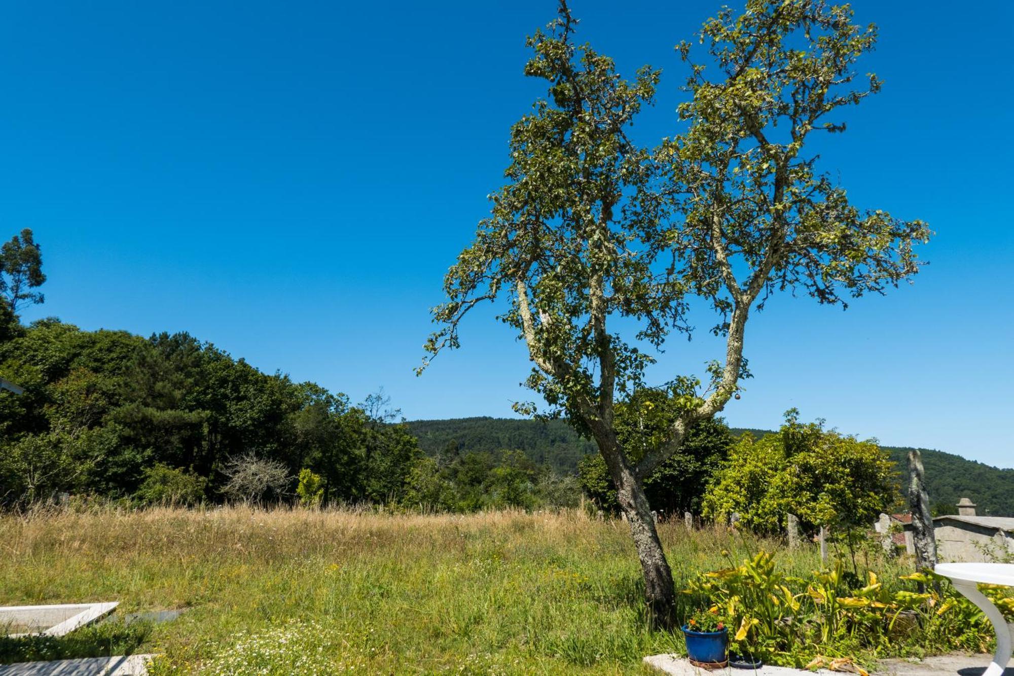 A Casa Dos Caseiros ツ By Rias Baixas Rentals Gondomar Exterior foto